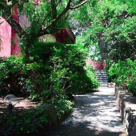 Il Giardino Selvatico Di Succellario - Apartments Barano d'Ischia Exterior photo