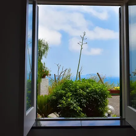 Il Giardino Selvatico Di Succellario - Apartments Barano d'Ischia Exterior photo
