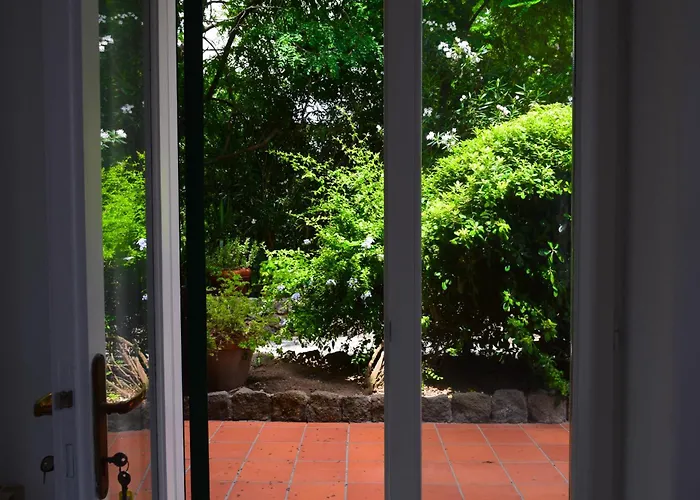 Il Giardino Selvatico Di Succellario - Apartments