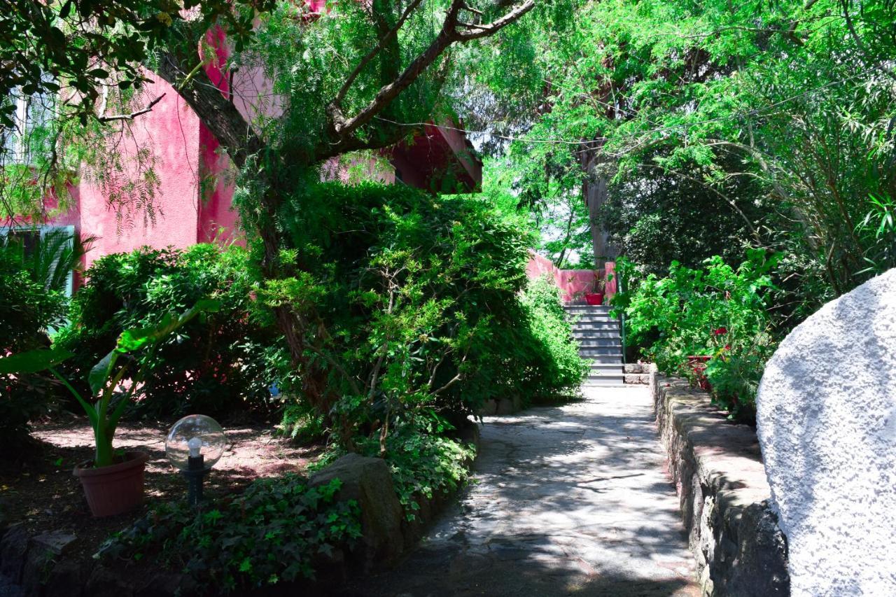 Il Giardino Selvatico Di Succellario - * Barano d'Ischia