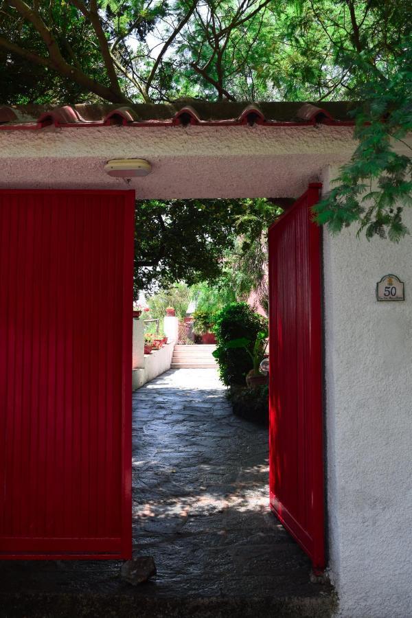 Il Giardino Selvatico Di Succellario -