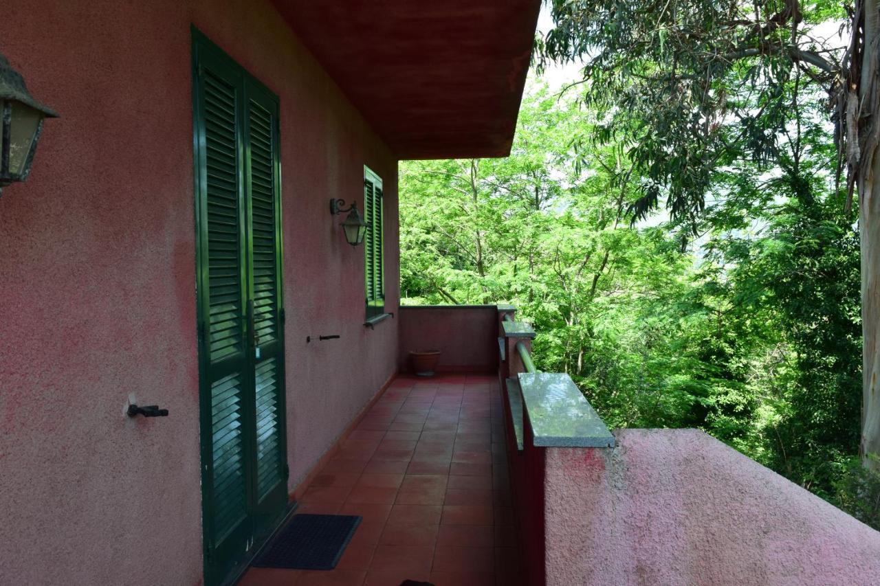 Il Giardino Selvatico Di Succellario - Apartment